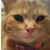 Madalyn Schultz's profile image