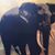Jill Creter Harte's profile image