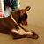 Linda Culver's profile image