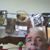 Neil Sorensen's profile image