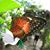 Jessie Tong's profile image