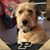 Karen Witz Gerold's profile image