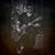 Robbie Quinn Johnson's profile image