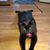 Stella Bauerle's profile image
