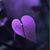 Anna Jones's profile image
