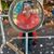 Tara Gunderman's profile image