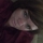 Liz F.'s profile image