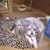 Tracy Moeller's profile image