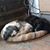 Kathi Hines's profile image