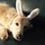 Heather Kittelson's profile image