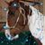 Melissa Sleeper Weatherly's profile image
