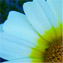 David Anderson's profile image