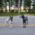 Chuck Barbieri's profile image