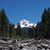 Lori Landsaw's profile image