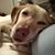 Nicolle Eckhardt Sutter's profile image