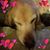 Catherine Fruhwirth's profile image