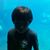 Nauj Siul Quez's profile image