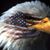 Jeff Filipek's profile image