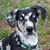 Thomas Kottke Sr.'s profile image