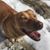 Kevin Shanley's profile image
