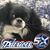 Heather Wagner Blackburn's profile image