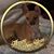 Jennifer Frederick's profile image