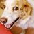Marlena Todd's profile image