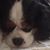 Edyie Addington's profile image