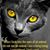 Jeanie Guck's profile image