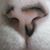 Walter Lounsbury's profile image