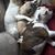 Malinda Helfrey's profile image