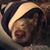 Barb Van Housen's profile image