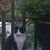 Maureen Matheson's profile image