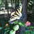 Susan Couch Lancaster's profile image