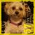 Lynn Vandevender's profile image