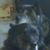 Rebecca Heimbigner Harrell's profile image