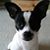 Jo Ann Cangas-Limas's profile image