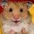 Amy B Jones's profile image