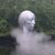 Anneliese Burns Wilson's profile image