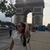 Thuany Baleeiro's profile image