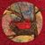 Cyndi Vercellino's profile image