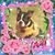 Griselda Hernandez's profile image
