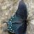 Wyndi Hodson Hall's profile image