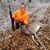 Heidi Brambrink's profile image