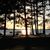 Carolyn Bizien's profile image