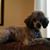 Tonya Wilson Young's profile image