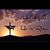 Linda Urda's profile image