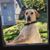 Paul W. Aydelott's profile image