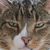 Larry Myers's profile image