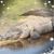 Tom Bilodeau's profile image